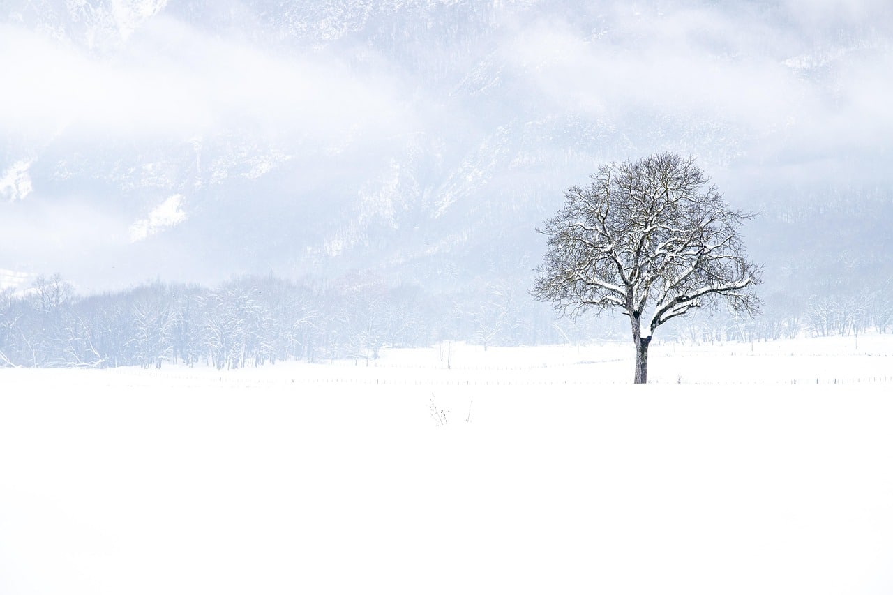 Isère